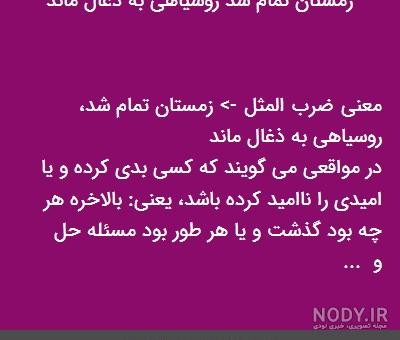 قصه سوسک و مورچه قصه سوسک و مورچه