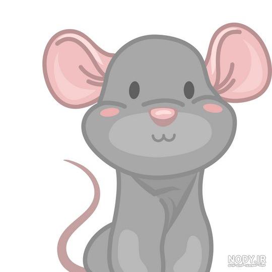عکس بچه موش نوزاد