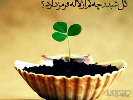 عکس نوشته های فلسفی و آموزنده