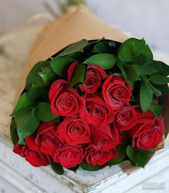 عکس گل رز رنگی