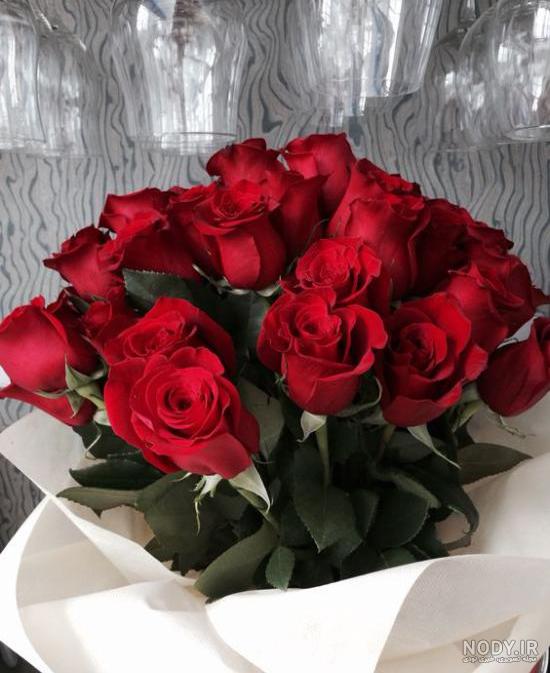 عکس گل رز قرمز با زمینه مشکی
