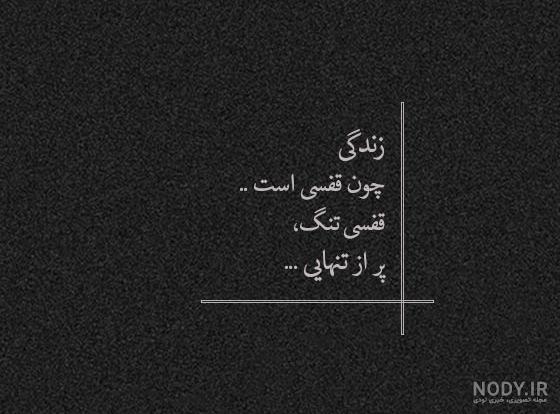 توصیف پرنده در قفس