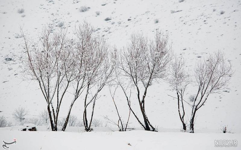 جاهای دیدنی لرستان در تابستان جاهای دیدنی لرستان در تابستان