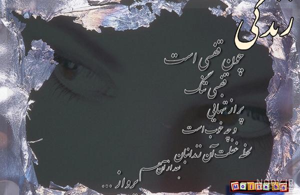 در قفس باشد پرنده بال می خواهد چکار