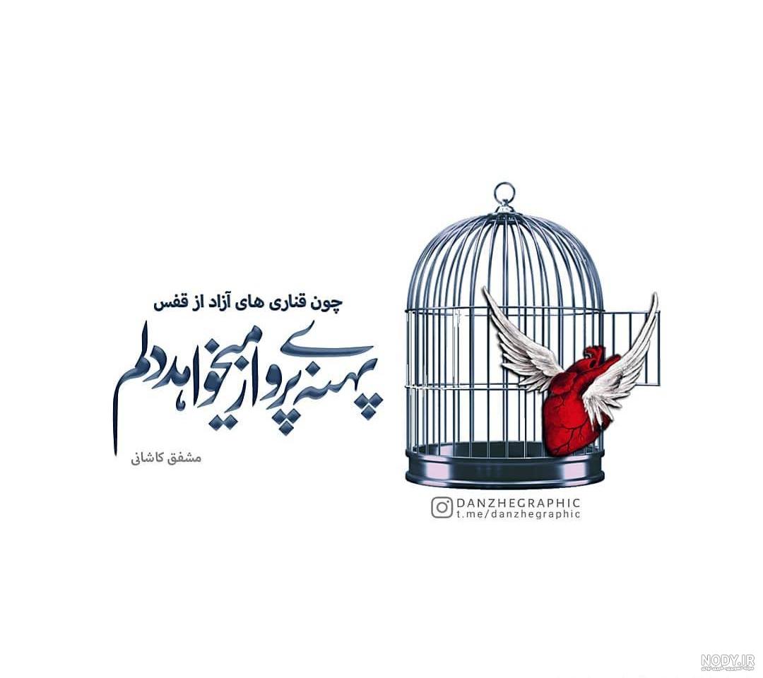 زندگی ساز دل است تو اگر شاد زنی