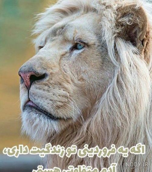 عکس تولد مهر ماهی دختر عکس تولد مهر ماهی دختر