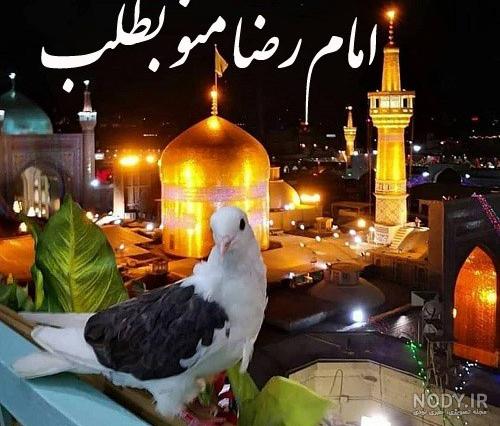 عکس نوشته امام رضا منو بطلب