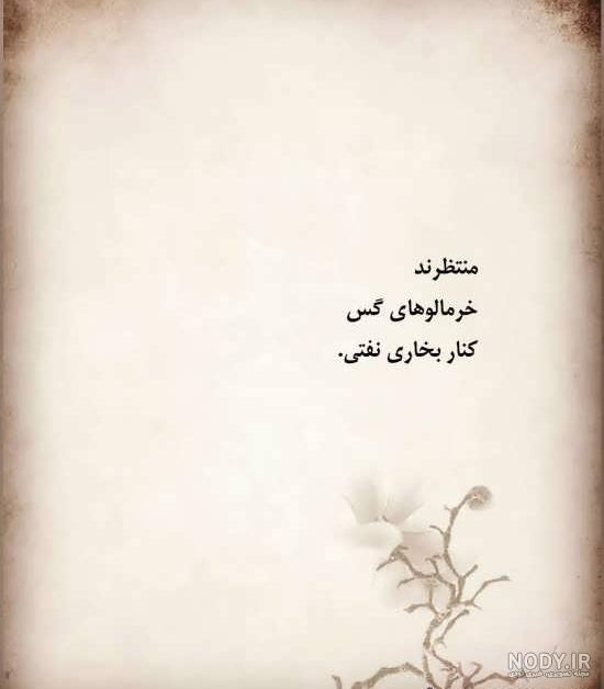 شعر سهراب سپهری برای وضعیت