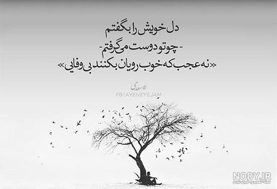عکس شعر زندگی