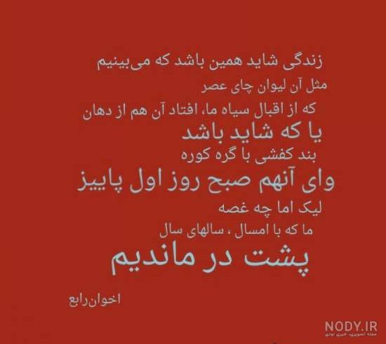 عکس نوشته مرغ آمین