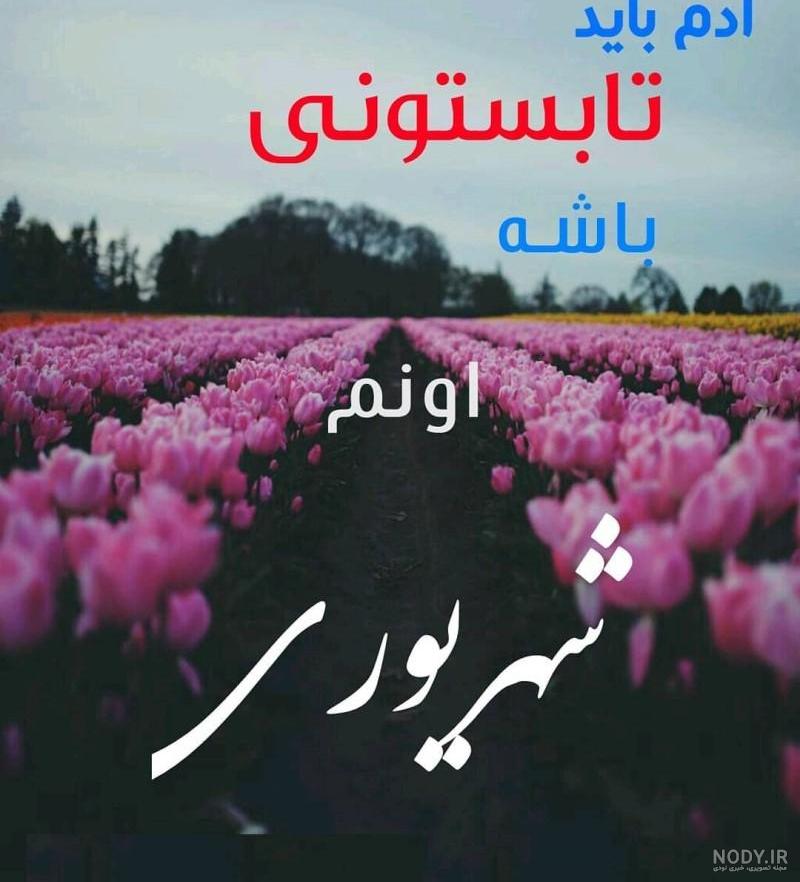 کلیپ تبریک برای همسر