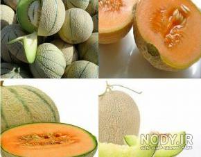 عکس طالبی و گرمک