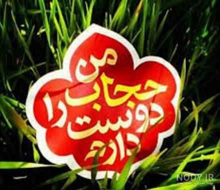 جملات کوتاه در مورد زرنگی جملات کوتاه در مورد زرنگی