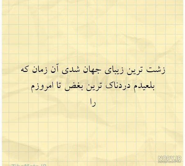 زشت و زیبایی مهم نیست زشت و زیبایی مهم نیست