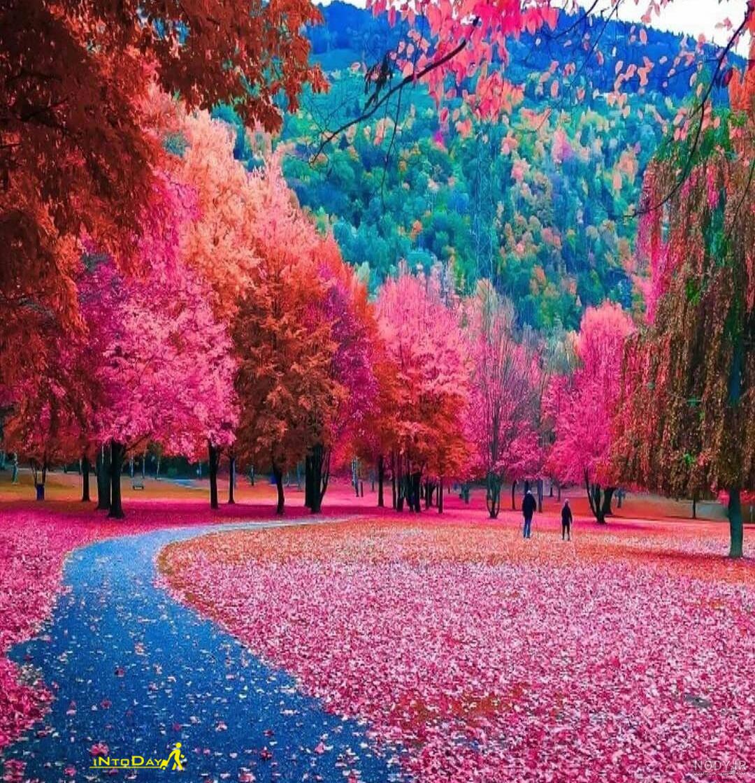 عکس دختر طبیعت عکس دختر طبیعت