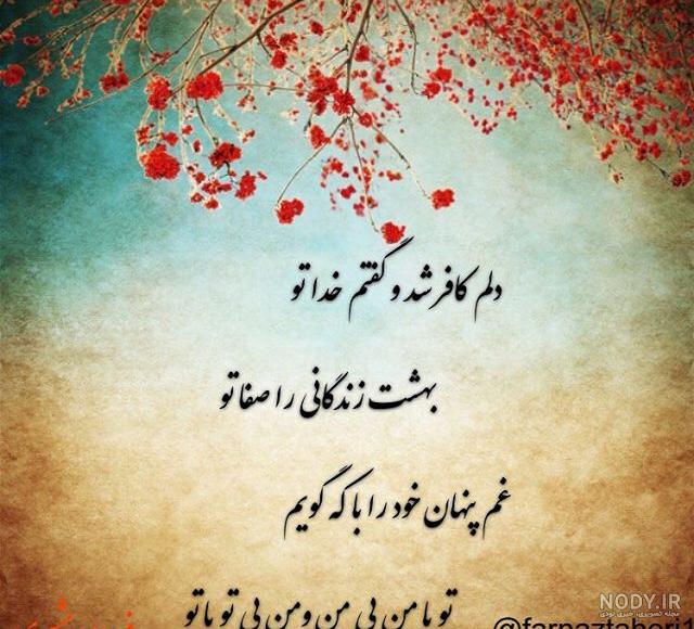 فائزه شعله سعدی