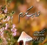 استوری زیبا عاشقانه