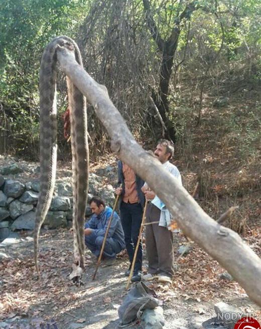 تاریخ اردبیل