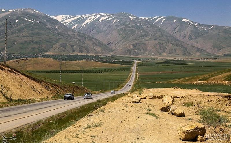 خواص مرزه برای قلب خواص مرزه برای قلب