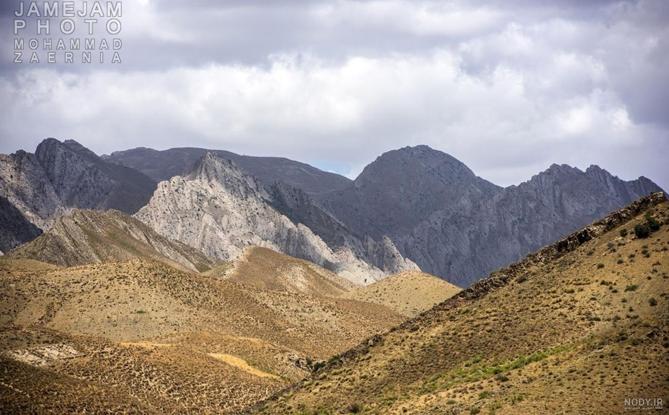 خواص مرزه کوهی خواص مرزه کوهی