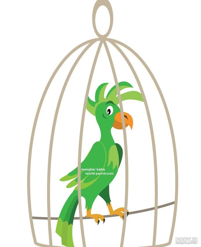 طوطی در قفس کارتونی