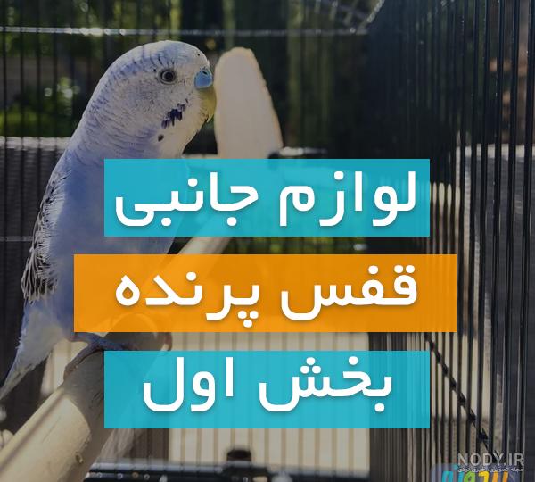 عکس قفس