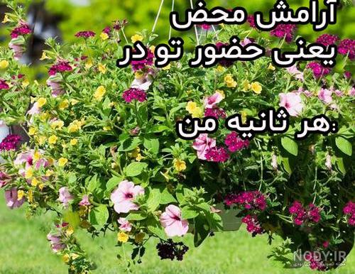 عکس پروفایل شش اصل آرامش