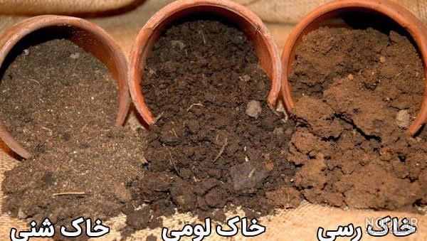 قیمت خاک گلدان