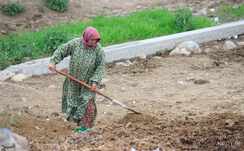 نقشه شهرستان نیر