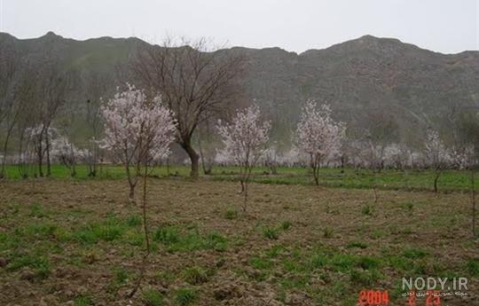 جنگ طالبان در بغلان جنگ طالبان در بغلان