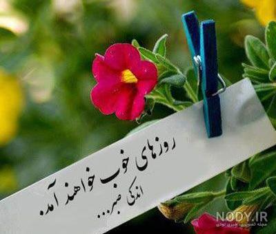  عکس آرامش بخش کیوت