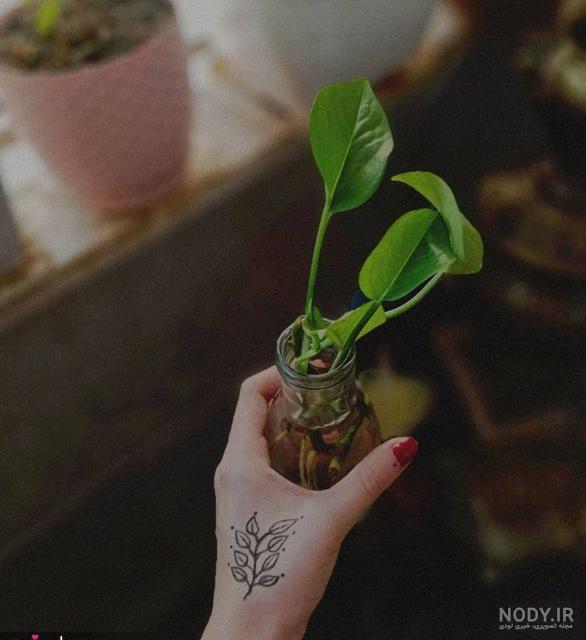  عکس آرامش بخش کیوت