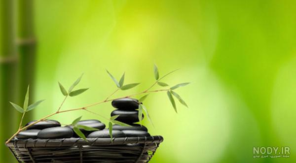  عکس آرامش بخش کیوت