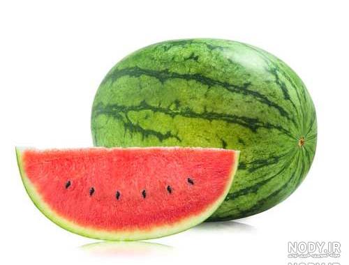 انواع گل هندوانه ای