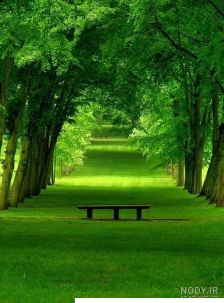عکس زمینه طبیعت سبز عکس زمینه طبیعت سبز