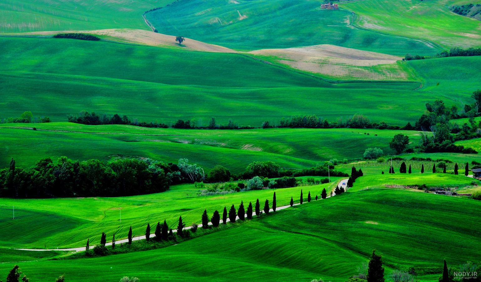 عکس طبیعت سبز برای پروفایل عکس طبیعت سبز برای پروفایل