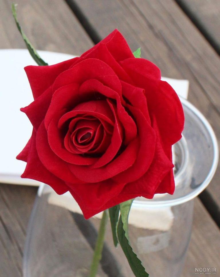 نقاشی گل کارتونی