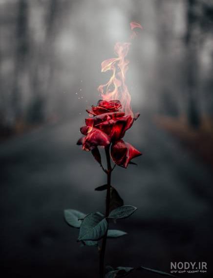 نقاشی گل کارتونی
