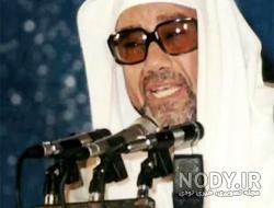 کفش غلوش کفش غلوش