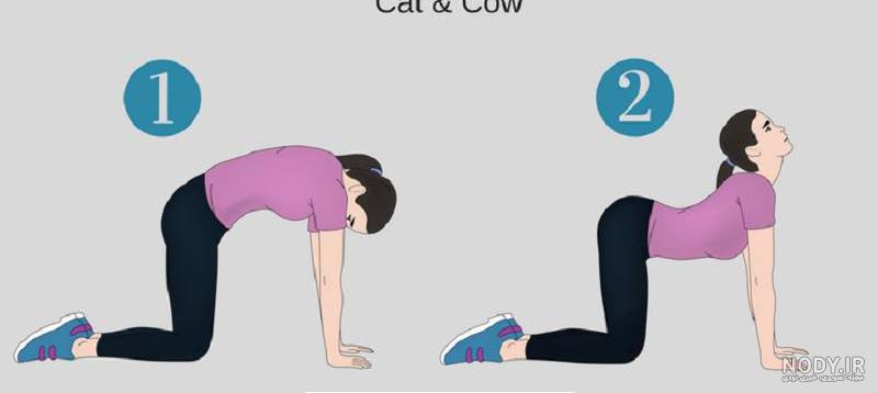 اسم حرکات ژیمناستیک با تصاویر