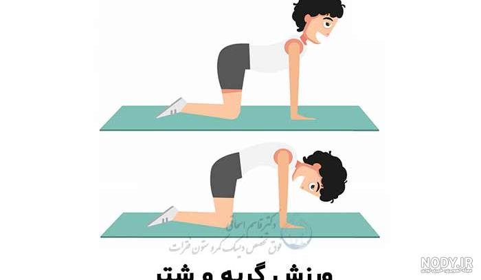 حرکت گربه ایستاده در پیلاتس