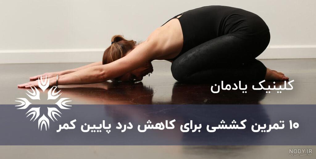 حرکت گربه گاو