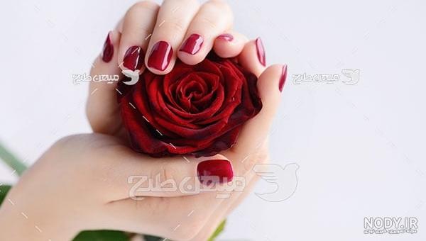 عکس قرمز قشنگ