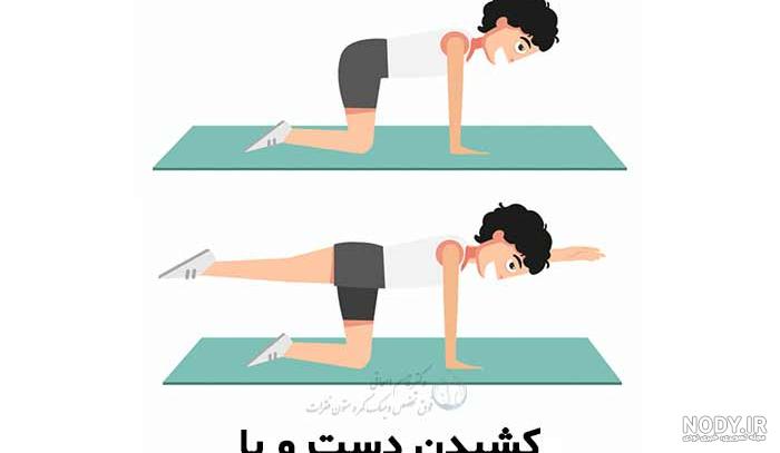هدف از انجام حرکت گربه چیست