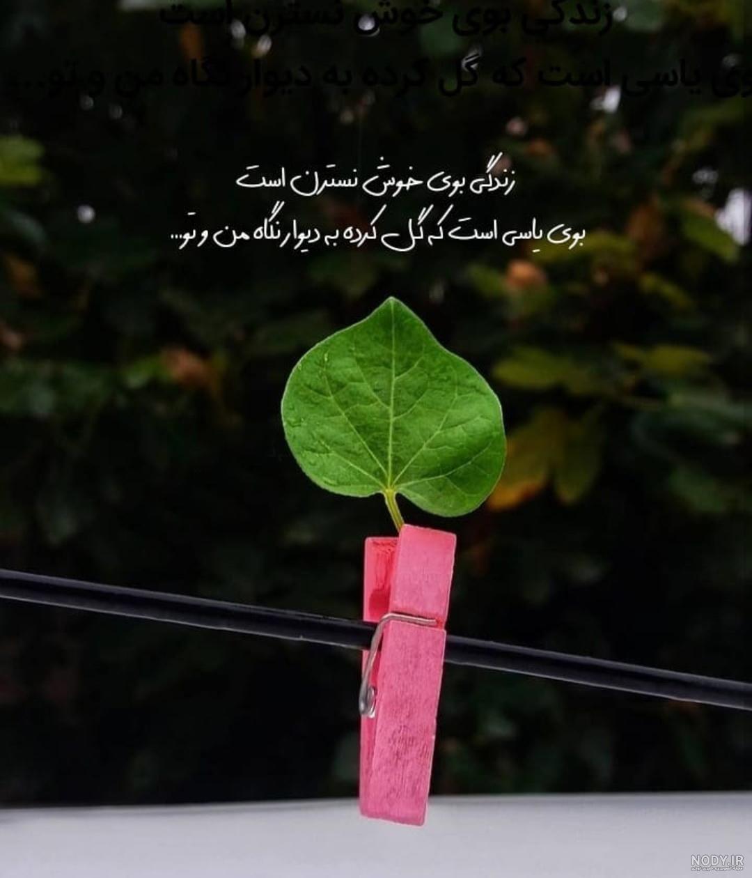 10 عکس برگزیده سال 10 عکس برگزیده سال
