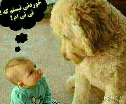 طعم میوه جک فروت