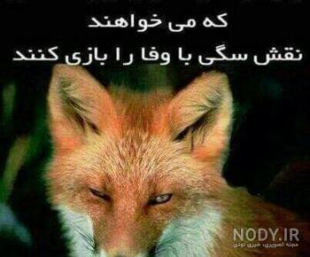 عکس ادم سگ صفت عکس ادم سگ صفت