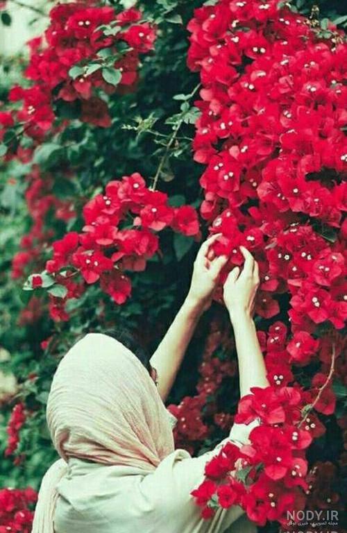 عکس صفحه زمینه گوشی دخترانه شیک