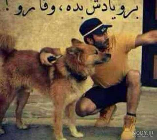 عکس نوشته های سگ صفتی عکس نوشته های سگ صفتی