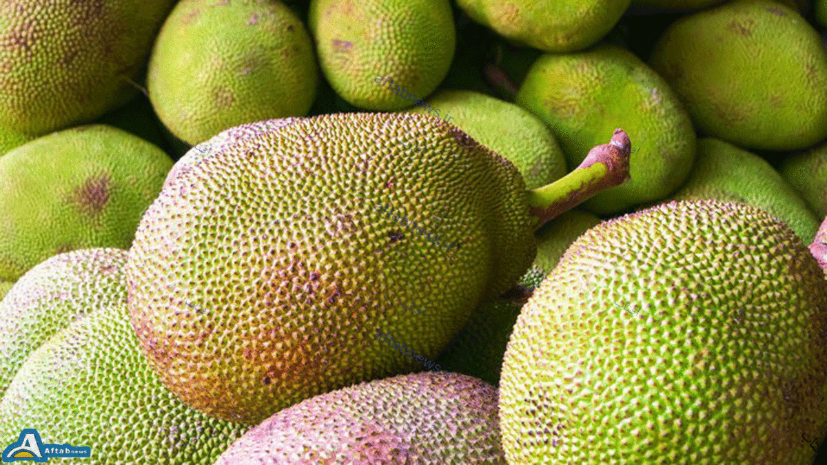 عکس پروفایل سرکاری خنده دار